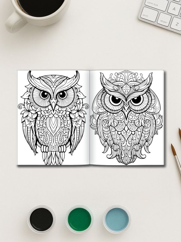 Night Watchers – 50 Owl Designs to Color – Bild 3